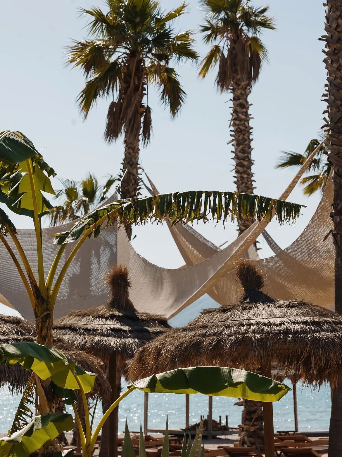 Palm trees and beach umbrellas on the Vlorë coastline at BOJO Resort