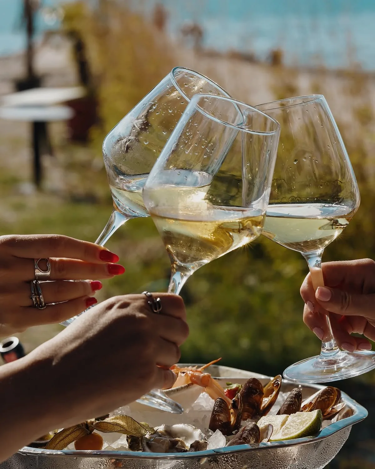 Guests raising a glass of wine at sunset at BOJO Resort