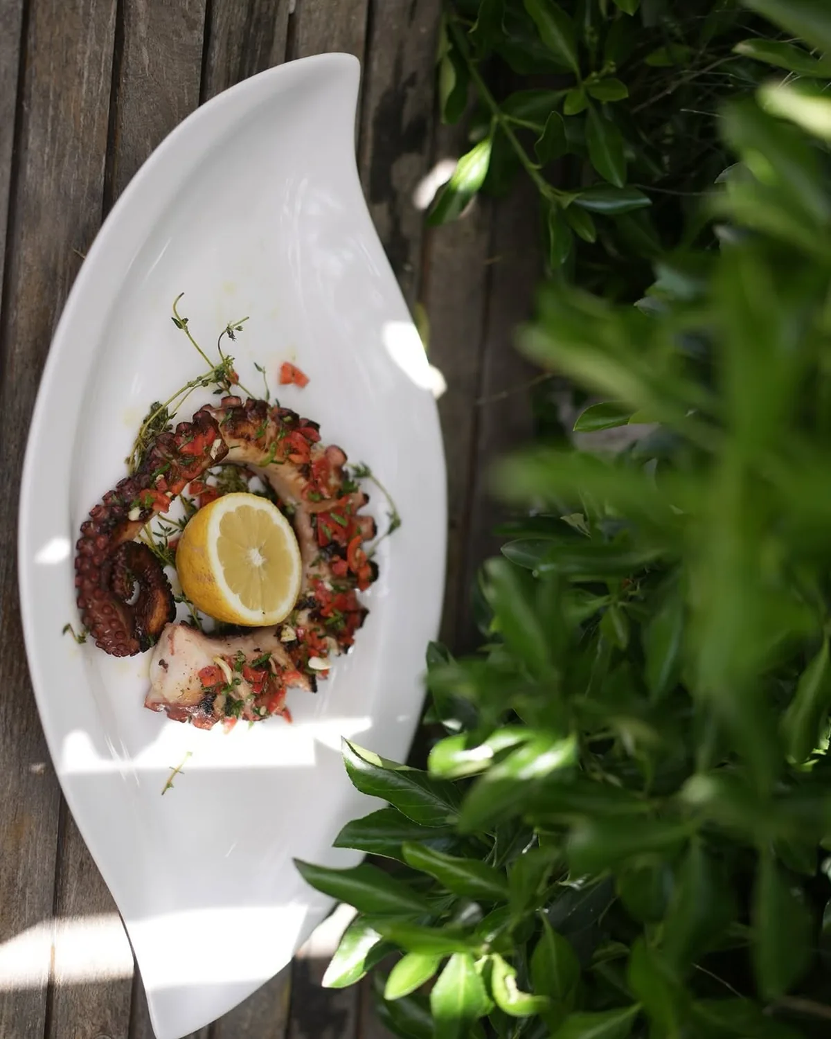 A chef’s plated seafood dish at BOJO Resort restaurant, Vlorë