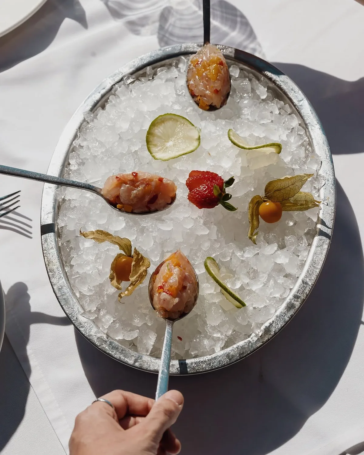 Seafood crudo on ice at BOJO Resort restaurant, Orikum