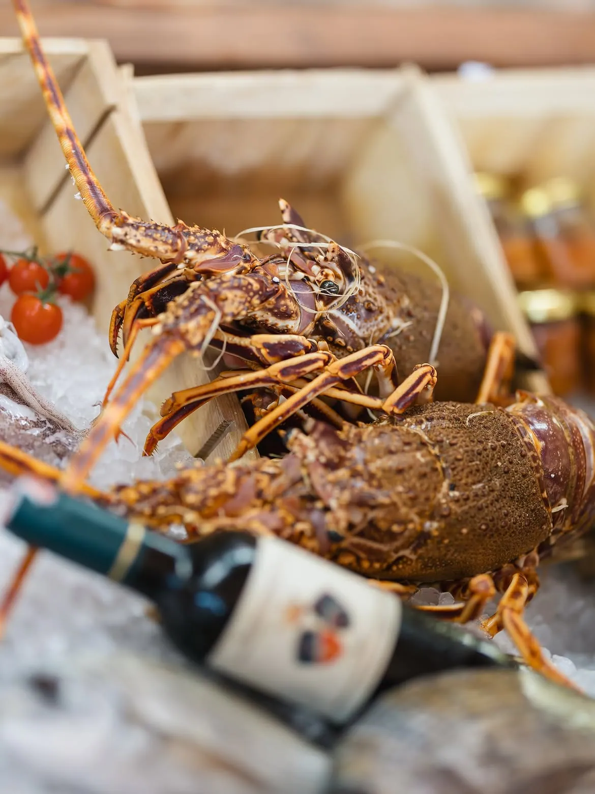 Fresh lobster on ice at BOJO Resort seafood restaurant in Orikum, Albania