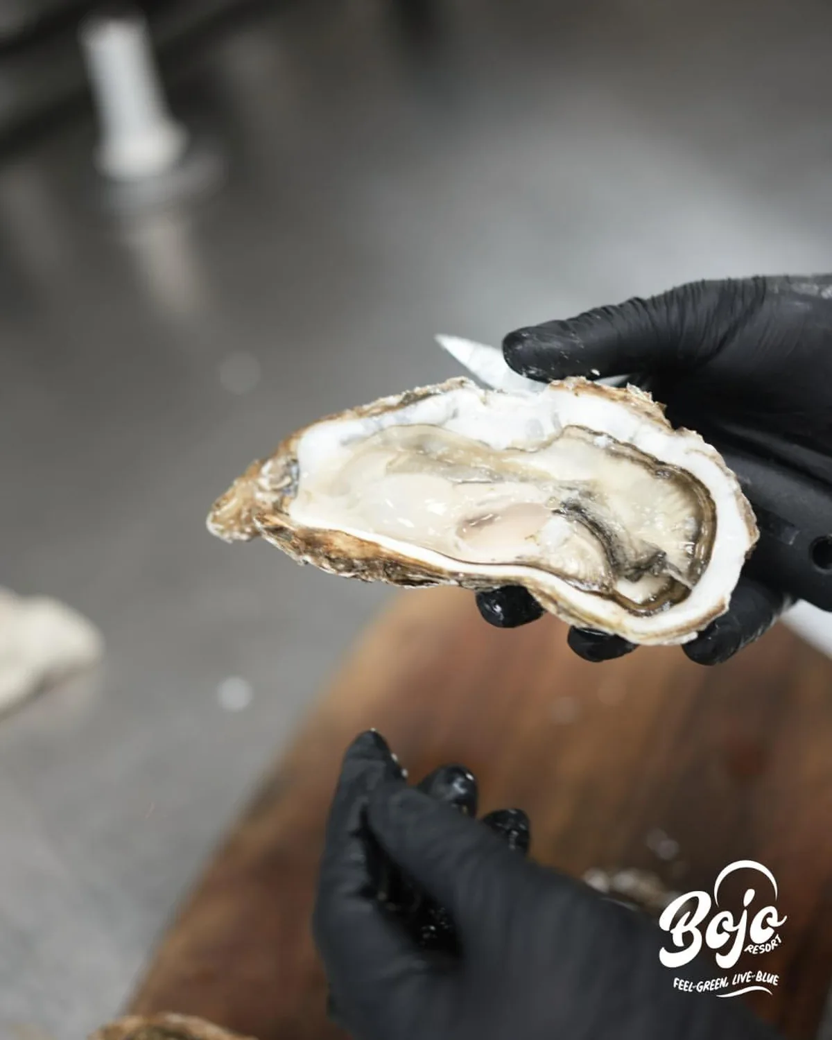A freshly shucked oyster presented at BOJO Resort seafood restaurant