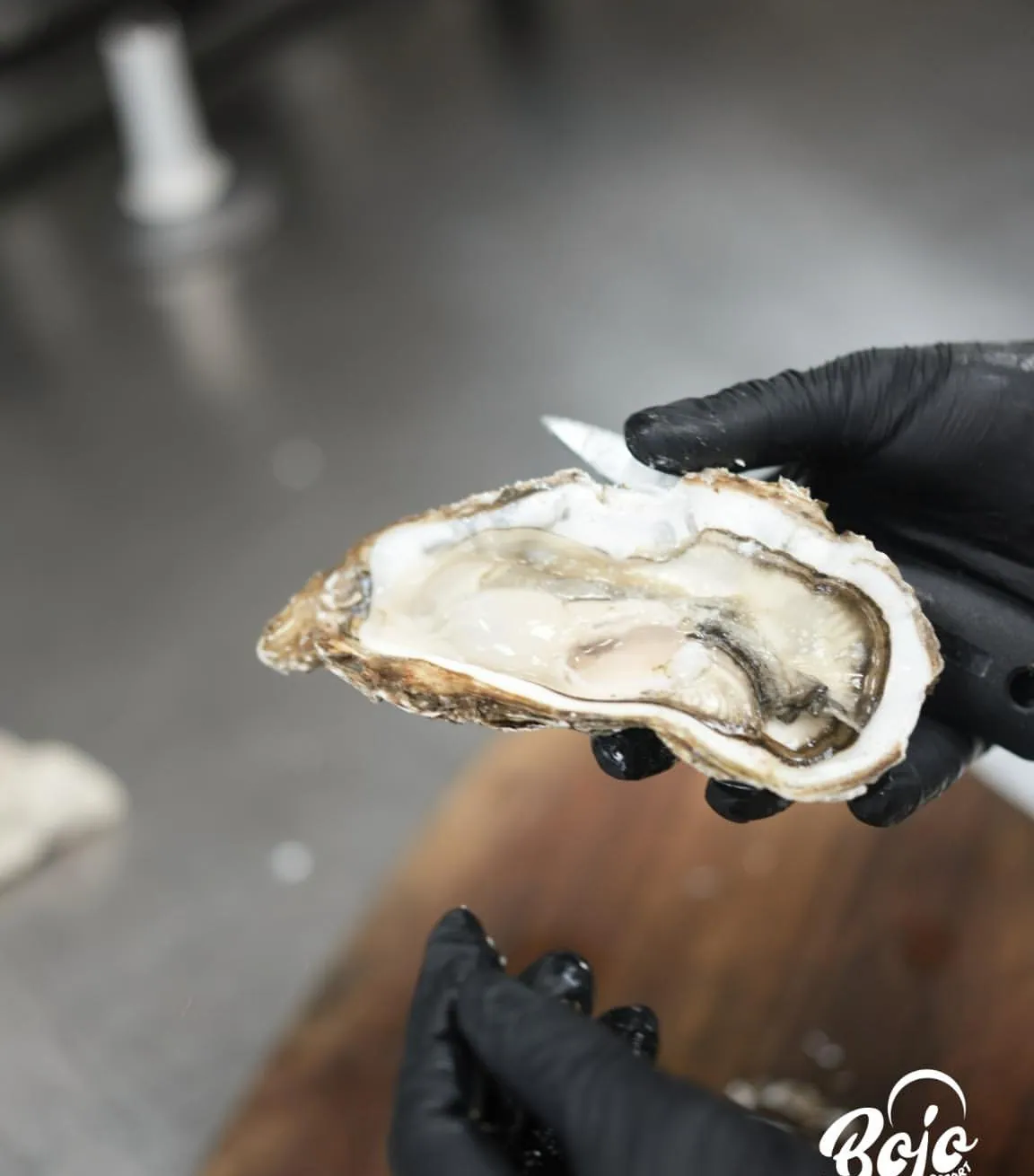 A freshly shucked oyster served at BOJO Resort, Albanian Riviera